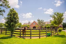 Image result for Lower Farm Stables
