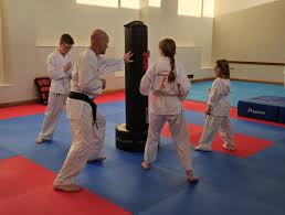 Image result for Red Dragon Taekwondo club