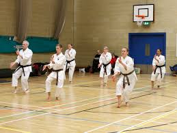 Image result for Kenshukai Karate