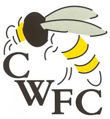 Image result for Wasps Football Club