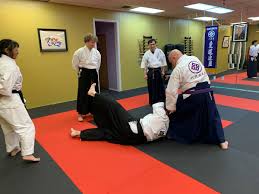 Image result for Ryuko Dojo