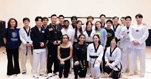 Image result for York University Taekwondo Club