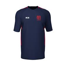 Image result for Carmarthen Wanderers Cricket Club