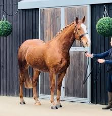 Image result for Bletchingly Badminton Club