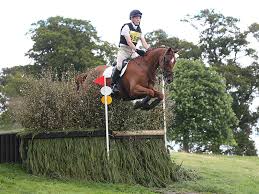 Image result for Ayr Riding Club