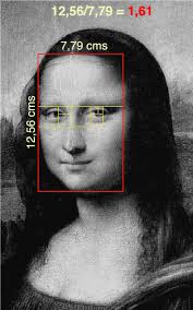 Image result for numero aureo