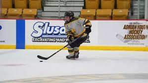 Image result for Adur Skater Hockey Club