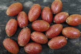 Attēlu rezultāti vaicājumam “Campanula latifolia fruit”