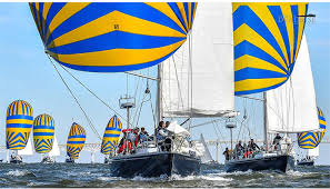 Image result for York University Sailing Club