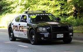 Image result for Leeds Dodge