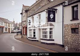 Image result for Llantwit Lions