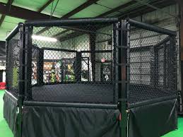 Image result for GFC Muay Thai Boxing