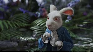 Image result for alice in wonderland rabbit