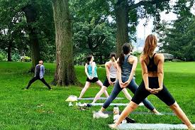 Image result for Yoga Classes