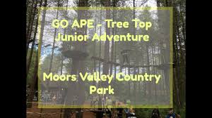 Image result for Go Ape! Moors Valley