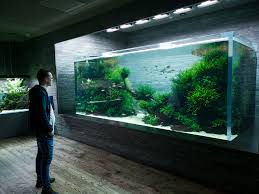 Znalezione obrazy dla zapytania takashi amano%