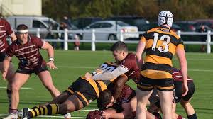 Image result for Newcastle (Staffs) Rufc Ltd