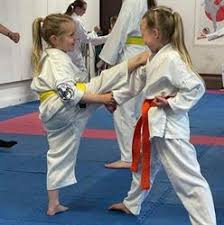 Image result for Kaizen No-Michi, Cleethorpes Karate Dojo