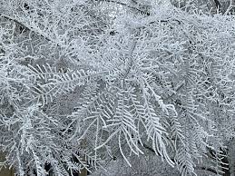 Image result for ice storm
