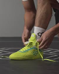 Attēlu rezultāti vaicājumam “Chara rudis”