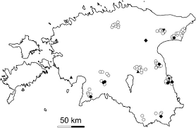 Attēlu rezultāti vaicājumam “Antrodia crassa”