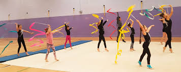 Image result for Ruxley Gymnastics Club