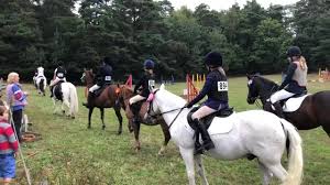 Image result for Elstead Riding Club