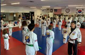 Image result for moray coast tang soo do