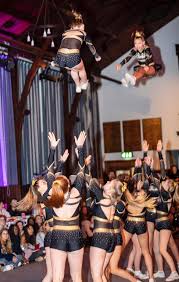 Image result for Chiltern Cheetahs