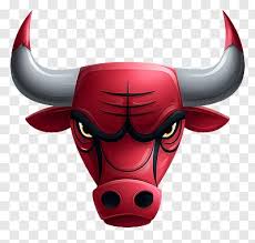 Image result for Kirkcaldy Bulls Flag football Club