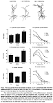 PsycARTICLES - Brain development, plasticity, and behavior.