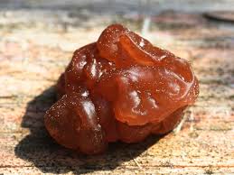 Attēlu rezultāti vaicājumam “Exidia saccharina”