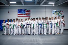Image result for Parkgate Taekwondo Club
