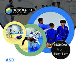Image result for Halewood Inclusive Judo Club
