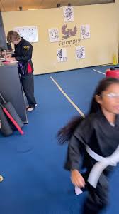 Image result for Phoenix Martial Arts