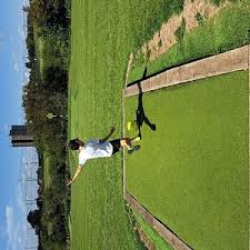 Image result for Barking Rugby Union Football Club