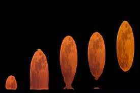 Attēlu rezultāti vaicājumam “Etruscan Vase Omega Sun”