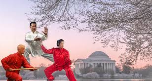 Image result for Wushu Tai Chi Club