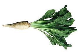 Image result for Chicorée