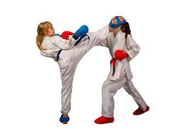 Image result for Ipswich Shotokan Karate Club
