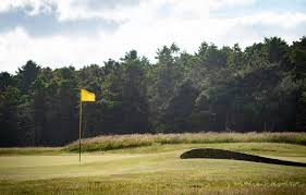 Image result for Pittenweem Bowling Club