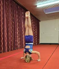 Image result for Falcon Sa Club