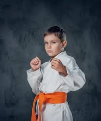 Image result for Caversham Karate Club SSKA