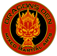 Image result for Dragon Martial Arts Association