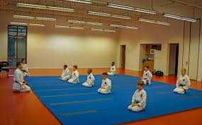 Image result for HEIWA SHOTOKAN KARATE CLUB
