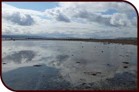 Image result for Innellan Bowling Club