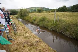 Image result for Bog Snorkelling Championships
