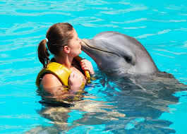 Image result for Discover Swimming