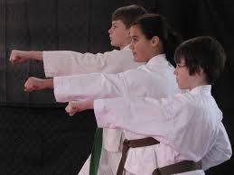 Image result for Windsor Higashi Karate Club