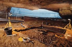 Картинки по запросу Altamira